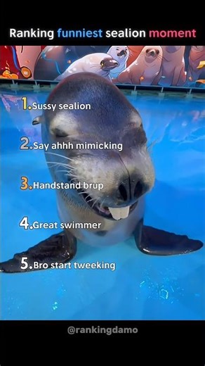 Ranking funniest sealion moments 🦭
