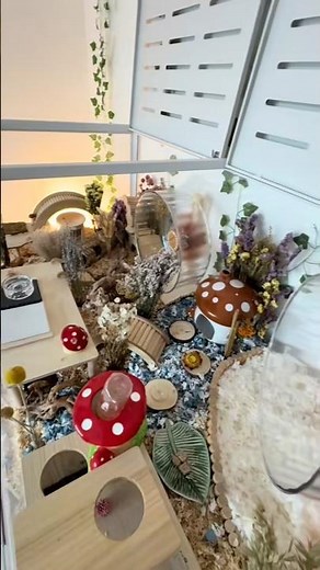 Set up a FAIRY Garden Hamster Cage with me ! 🫶 #hamster #hamstercage #pets #animals #cuteanimals