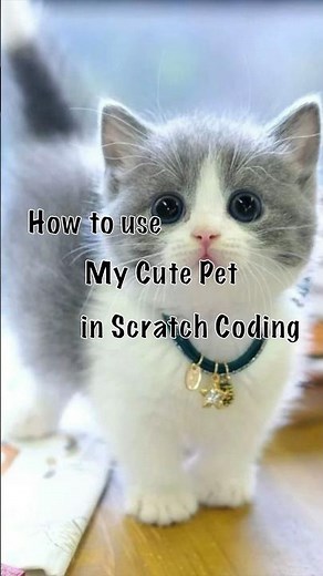 How to Use Your Pet in Scratch Coding #scratch #scratchtutorial #scratchprogramming #shorts