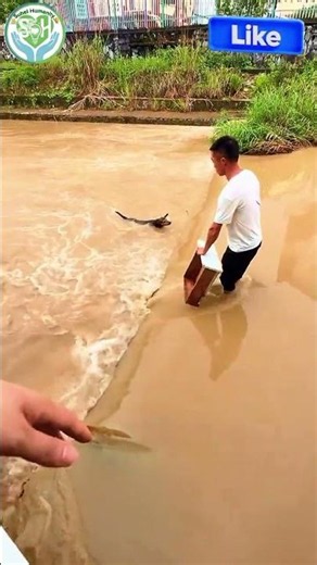 Humanity at Its Best🐕❤️ #humanity #animals #dogrescue #youtubeshorts #viralshorts
