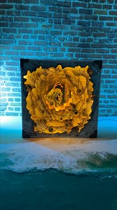 482K views · 33K reactions | New Video: QUICK Run to @nuclearblastrecords Insta to WIN this piece and other amazing things this December! - Also check out the new @Nightwish album "Yesterwynde"! They are amazing and I know you'll love them! | Peculiarly Ashley | Facebook