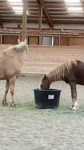 5.8M views · 33K reactions | Donatello meets ..... So we had been...