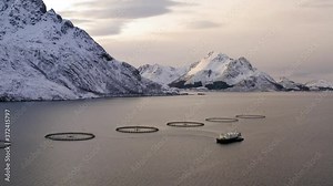 Salmon fish farm in Norway sea. Food industry, traditional craft production, environmental conservation. Aerial view of seafood business with round mesh for growing and catching fish in arctic water