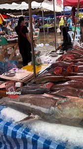 53K views · 1.7K reactions | Laos fish market Vientiane | Amazing Food | Facebook
