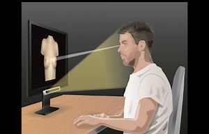 Researchers Try to Craft the Perfect Boob Using Eye-Tracking Technology