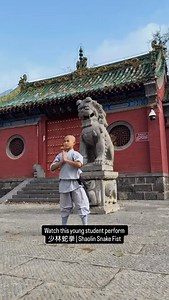 Shaolin Snake Fist (少林蛇拳), inspired by the serpent’s fluid precision, this form trains softness within strength and control within chaos. 🐍 1️⃣ Follow @ShaolinWorldwide for daily Shaolin Kung Fu, breathtaking places in China & wisdom to inspire your journey 🐉 2️⃣ Subscribe on YouTube for exclusive content — live teachings, music meditations, history, and rare interviews you won’t find anywhere else 🎬 3️⃣ Join our mailing list at www.ShaolinWW.com (link in bio) to get early access to retreats,