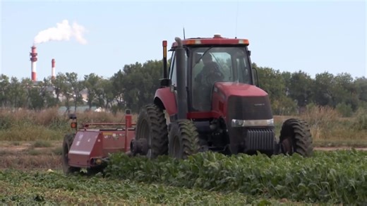 Rural Montana factory closure disrupts local economy, farming community