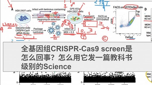 直播|全基因组CRISPR-Cas9 screen怎么回事？怎么用它发一篇教科书级别的Science？