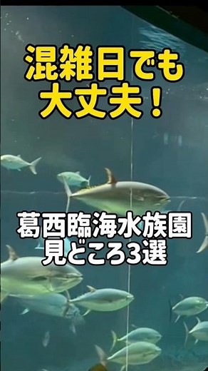 【土日も安心】混雑を賢く避ける！葛西臨海水族園のおすすめ3選