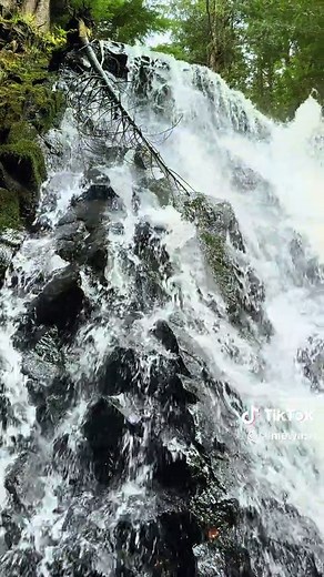 Discovering Yocum Falls in Oregon: A Hiking Adventure