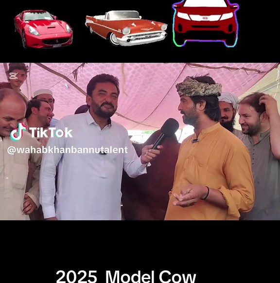 Exploring the 2025 Model Cow in Bannu Talent