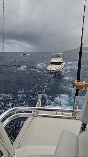 Storm Lorena in Cabo, wind, waves and rain. Yesterday we helped a friend who had problems with his boat. 🛥🫡. If you are in Cabo now, be careful with the rain, rain and continuous winds. - - #mahifishingcharters #cabomexico #cabomexico🇲🇽 #storm #rain #badweather #fishing #pescaenmexico #malclima #lluvia #lluviasytormentas #pescadeportiva #fypreelsً #fypreelsジ #fypreelsジviralシ #ᴠɪʀᴀʟᴠɪᴅᴇᴏs #fypreelsシ゚viralシ2025 | MAHI Fishing Charters