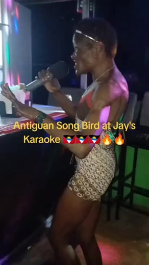 Experience the Fun at Jay's Karaoke in Antigua