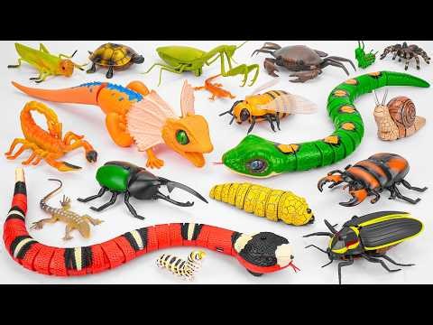 2 Hours ZURU Robo Alive Insects ASMR 🦎 Lurking Lizard, Snake, Scopion, Beetle, Worm
