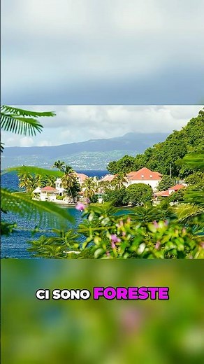 Martinique and Guadeloupe: Travel Without a Passport? Discover the French Antilles!