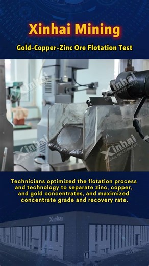 Xinhai Mining Gold-Copper-Zinc Ore Flotation Test