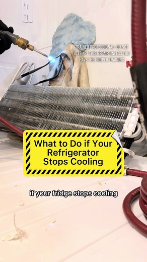 Appliance Repair Tips: What to Do If Your Fridge Stops Cooling