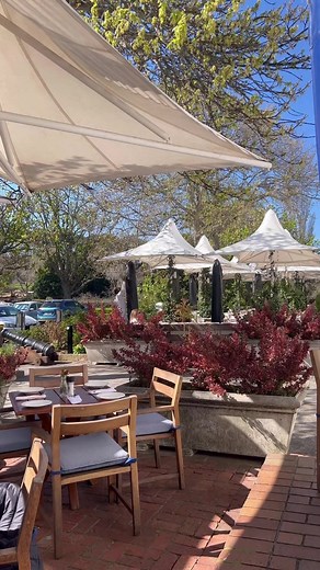 Delicious Food Review: Chilli Salt and Pepper Baby Squid, Skillet Chicken Pot Pie & More