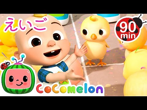 【🆎えいごをまなぼ！】 ひよこと数をかぞえよう！・ココメロン 日本語 - 幼児向け歌とアニメ ・CoComelon 日本語吹替版