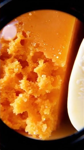 Cheese Under Microscope Looks Unreal