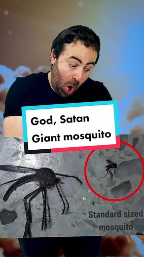 DeepDarkDreams on TikTok