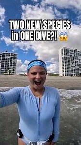 TWO new species in one dive?! #ocean #diving #underwater #seacreatures