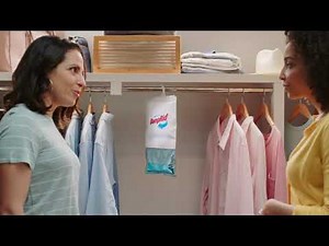 DampRid - Around The Home