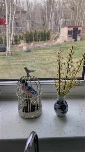 Kitchen - Spring Shelf Decor Inspiration!