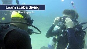 14 reactions | Learn to dive with our experts, learn to enjoy a new...