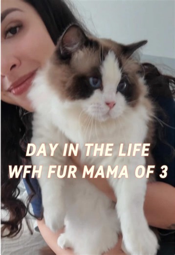 WFH Day in the Life Vlog: Fur Mama Adventures