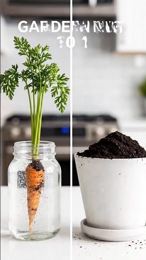 Water vs Soil — Can Carrots Grow Without Dirt? 🥕🌱 USA Kitchen garden