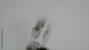 Fingerprints, Magnetic Powder Applicator develops latent print on grey paper