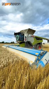 Here is Rick in the CLAAS 8800 Lexion and today is the first day with the new Shelbourne Reynolds 12m stripper header. I have been looking forward to seeing this for a long time. The guys from Shelbourbe Reynonlds were hear to set them off today. Really nice set of people and lovely to talk to. I will put out another video with some drone footage and will be following them as they move into oats and barley. #FarmingVideos #Harvest2021 #ShelbourneReynolds #ProHorizon #BritishFarming | Pro Horizon