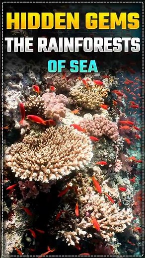 CORAL REEF ECOSYSTEMS IN INDIA