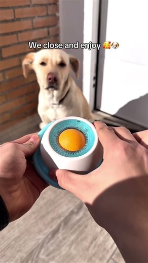 Your Dog NEED This 🥰