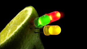 35K views · 383 reactions | Create a Lemon Battery | Electromechanical engineering | Facebook