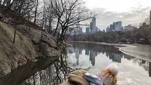 14K views · 981 reactions | Are you ready for today’s Central Park Walk? | New York Mickey | Facebook