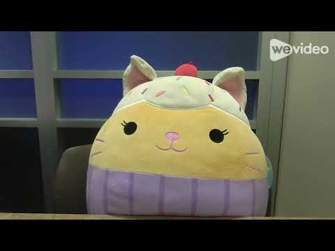 Economics 1015 Extra Credit