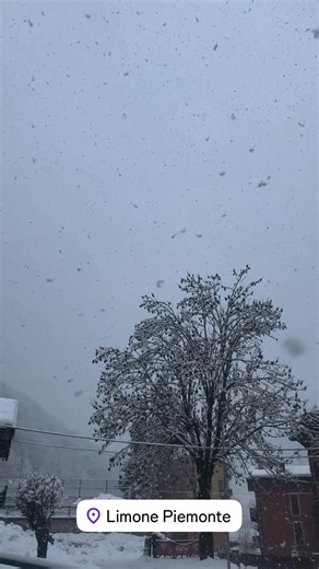 ❄️ Live da Limone Piemonte (CN) 📲 Giacomo Marchetto | Centro Meteo Piemonte CMP