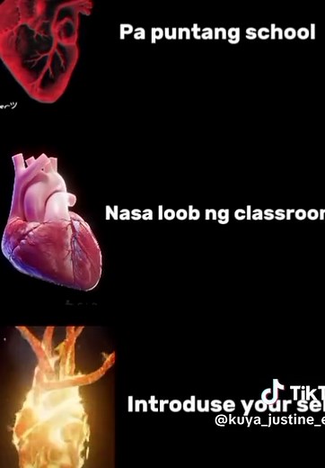 Engaging Introduce Yourself Video Compilation