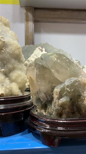 The magic charm of nature