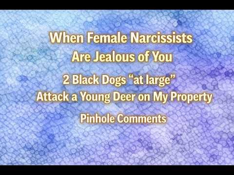 When Women Are Jealous of You | Two Black Trespassing Dogs Attack Deer on my Property | Pinholes
