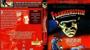 Frankenstein (1931) (español latino)