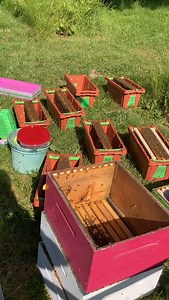 Beekeeping adventures of 2025. Today’s shenanigans, found a hive that had swarmed, split it all the way down…one colony split 7 ways! 🐝🤣😅 | J & L Honey Farm, LLC