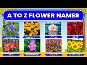 A – Z Flower names | A to Z Flowers with pictures & video | flowers name Pronunciation | kids video