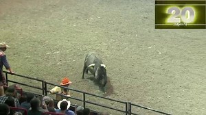 11K views · 86 reactions | Bullfighters Only standout, Justin Josey competition in Moose Jaw with this 81.5. | Alpha Bull | Facebook