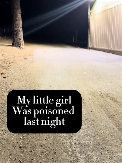 Missing My Little Michelle: A Creepy Horror Story