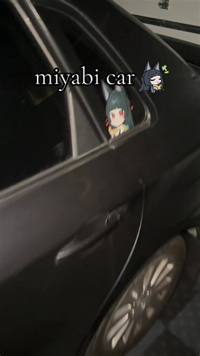 Exploring the Miyabi Mobile Experience