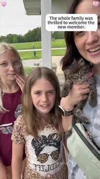 The cat distribution system decided to send this family some playful fluffy energy 🥰#kitten #story