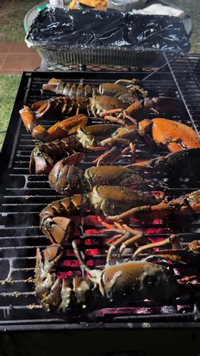 Grilling and chillin! #trinidad #trinifood #trinitiktok #trini_tiktoks #lobster